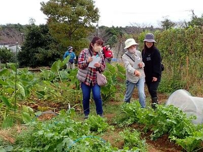 野菜ビンゴ (2).JPG