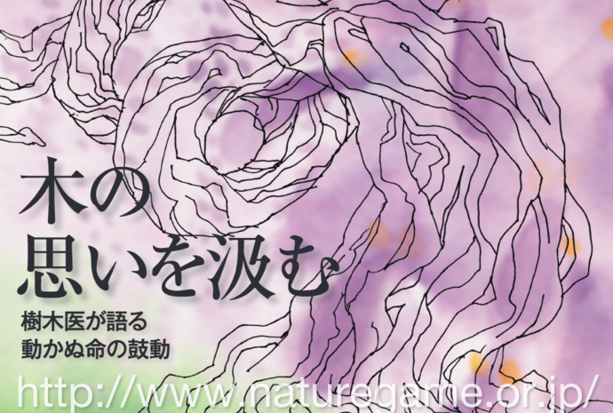 木の思いを汲む...樹木医が語る動かぬ命の鼓動（SNL2015年12月発行）｜カワウソくんのネイチャーゲームフィールドノート