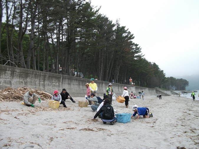 岩手県釜石市 根浜 ねばま 海岸