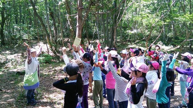 山形県酒田市 ブナの森広場 心字池周辺 鳥海高原家族旅行村